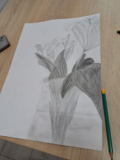 Zajęcia plastyczne - rysunek z natury